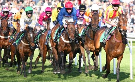 albany stakes tips|Albany Stakes Preview, Tips, Runners & Trends (Royal .
